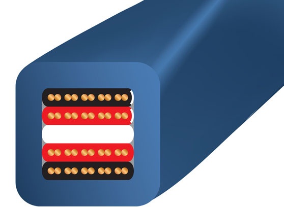 WireWorld Oasis 8 (OAB)  - cecha 1